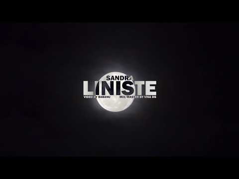 Sandra - Liniste ( Lyric Video)