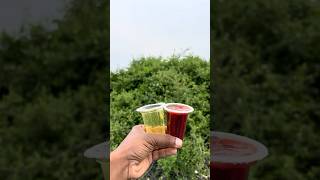 Download lagu Survival Skills: SMART ideas andUseful in forest#survival #useful #ideas #smart #shorts #camping mp3 Download lagu Survival Skills: SMART ideas andUseful in forest#survival #useful #ideas #smart #shorts #camping mp3