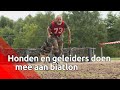 Hond Nike (8) strijdt op Open Militair Kampioenschap Hondenbiathlon