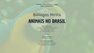 Biólogos Mirins – Animais No Brasil