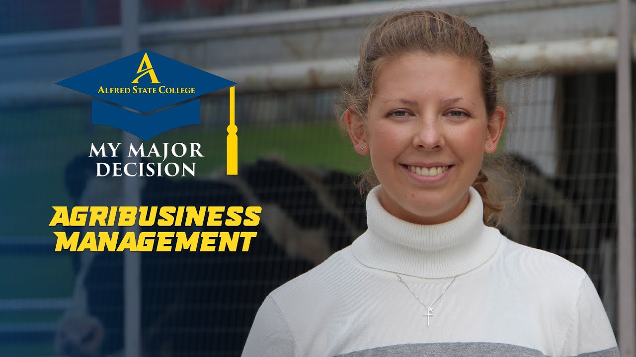 Video preview thumbnail