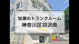 YouTube動画