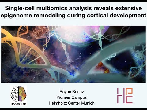 SCOG Virtual Lecture Series - Boyan Bonev (HPC/HMGU, Munich)