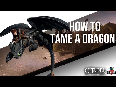 CITADEL: FORGED WITH FIRE Guide to Taming Dragons(Fastest/Easiest Method)