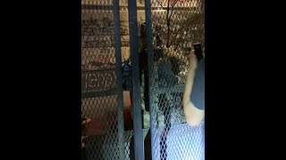 Video provided to a federal judge by Haley Nicholson.