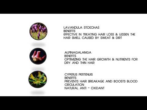 Herbal natural just veda 42 herbs hair oil for hair growth