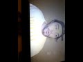 Exposing Jester