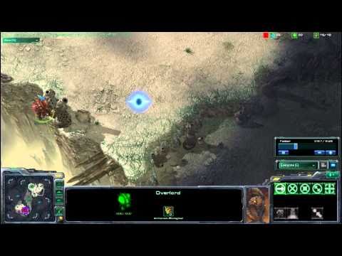 Beating Insane AI with Protoss: A how to commentary for Starcraft 2 1/2