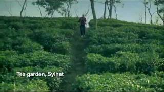 বহিঃসঙযোগ বাংলাদেশ