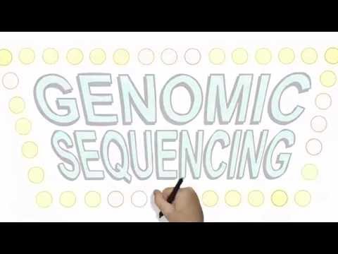 Genomic Sequencing 101: Pros, Cons, and Implications for You and Your Family