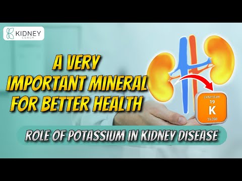 Exploring The Role Of Potassium In Kidney Disease | An Important Mineral For Kidney Health