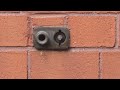 Yellow Jackets Harbor Underneath Wall Hydrant in Skillman, NJ