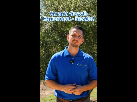 Kurapia Growth Experiment - Results