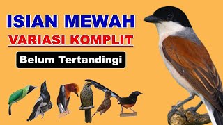 Download lagu Isian Cendet Juara Nasional ❗ Masteran Cendet Full Isian Mewah Terbaru 2022, Masteran Cendet Variasi mp3