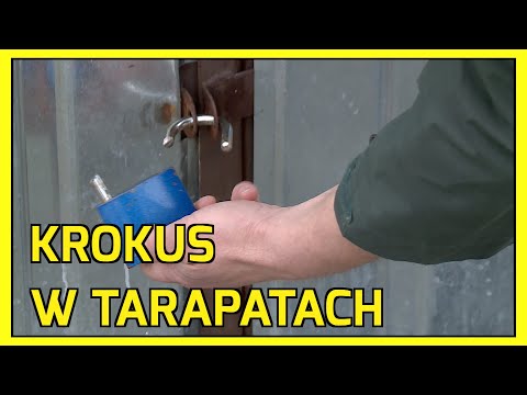 KWIATKOWICE. Klub w tarapatach... Złodziej ukradł piłki