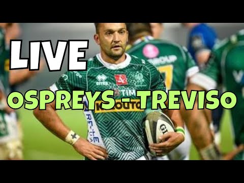 LIVE: ORSPREYS - TREVISO
