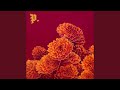 I Spent the Winter Writing Songs About Getting Better
