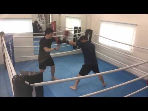 ボクシングのジャブにどう合わしていくかを中心に練習するミット