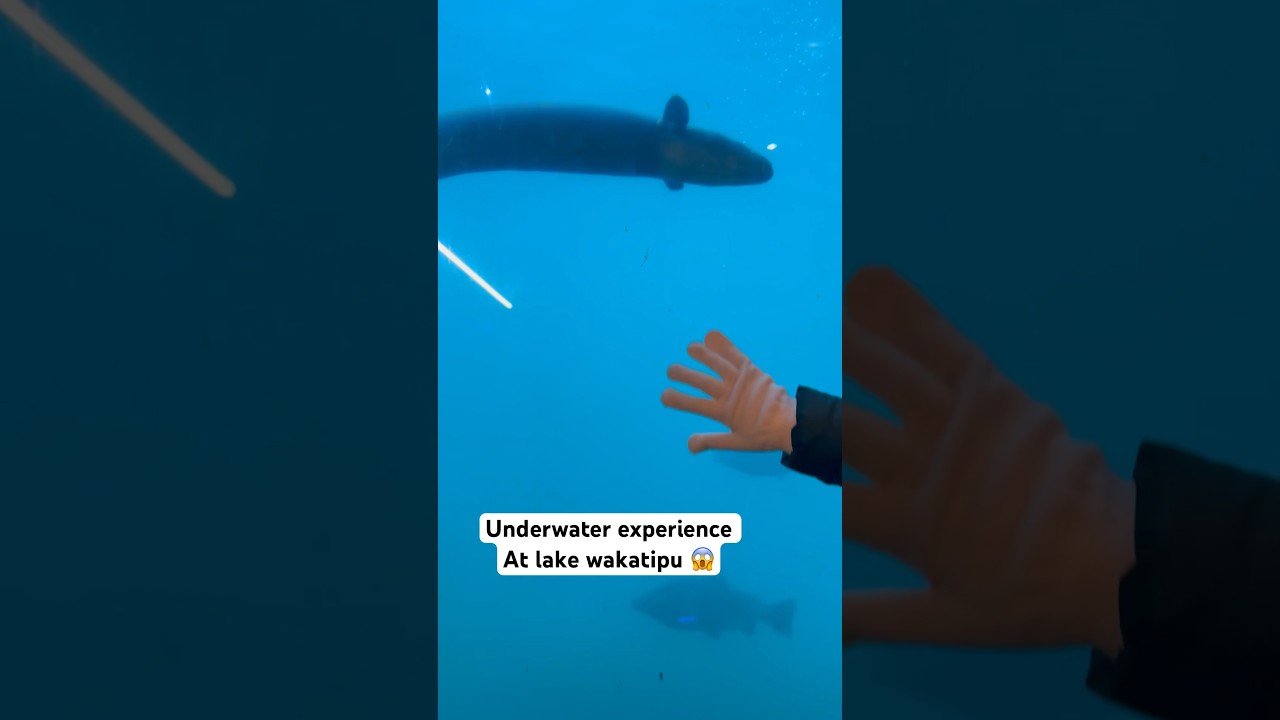 YouTube Short thumbnail