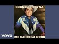 Cornelio Reyna - Me Caí De La Nube (Audio)