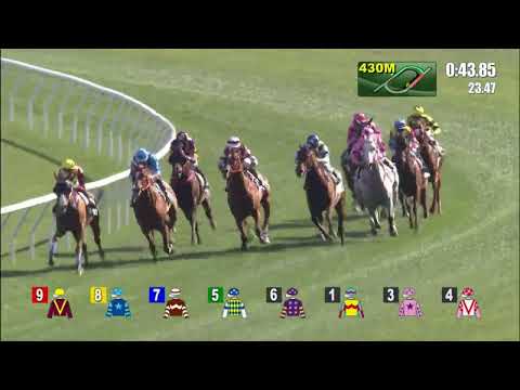 3/4/2022 (553) Wellington - A Badel (G2, The Sprint Cup)