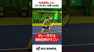 【忙しい人向けテニスレッスン】ボレー苦手な人は前傾姿勢がすごい〈ぬいさんぽテニス（Tennis）〉 #テニス #テニスレッスン #tennis #ぬいさんぽ