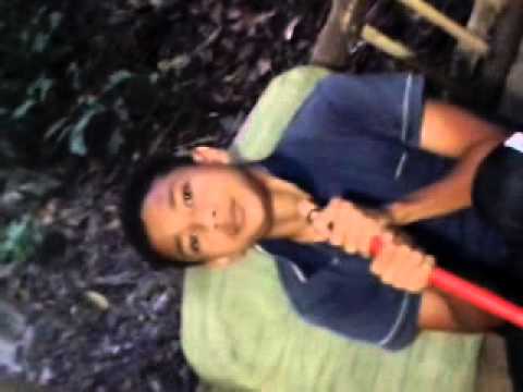 padilah - bolawe staro demo gomo andox gomo