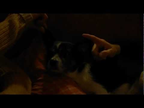 Frasier ear rub Jo and Rob