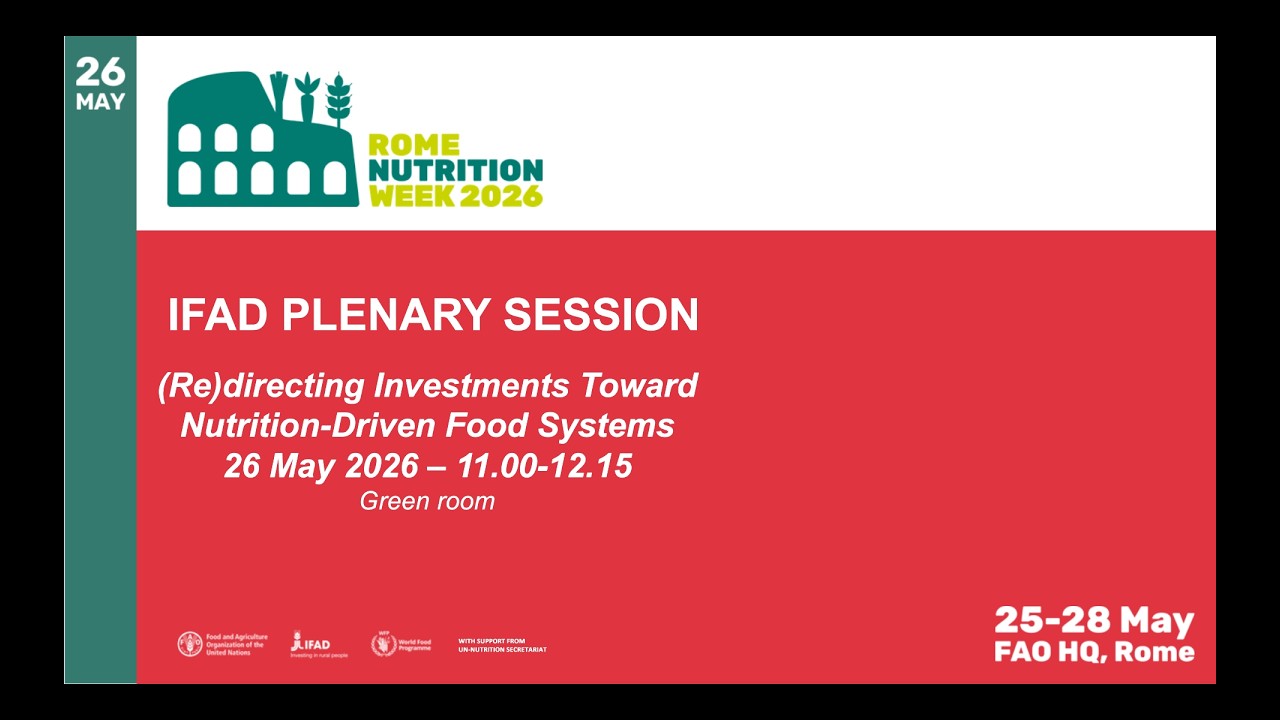 Day 2 - 26 May 2026 - HL Plenary Session - (Re)directing Investments