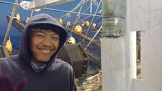 Download lagu BANJIR CUMI | KAPAL CUMI TAIWAN mp3