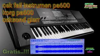 Download lagu Cek instrumen pa600 #korg pa600 glerr mp3