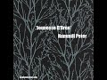 'Jeunesse D'Oree' (Hammill Peter Cover)