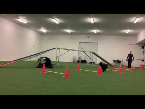 Bravo 2019.11.02 Power grid