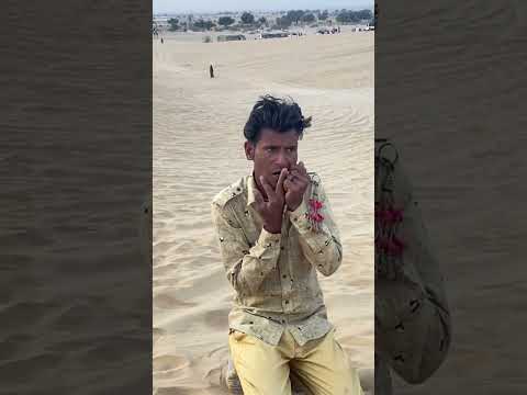 THAR DESERT JAISALMER🏜️ #samsanddunes #jaisalmer #thardesert #thar #rajasthan #viral #shorts