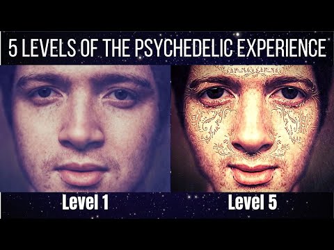 5 Levels of Perception of the Psychedelic Experience