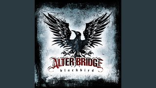 Download lagu Rise Today mp3