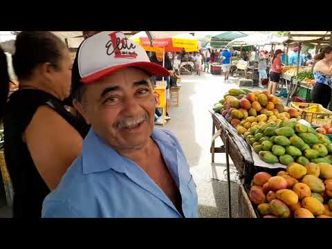 Feira livre da Cidade de Frei Miguelinho Pernambuco. 03/03/2026