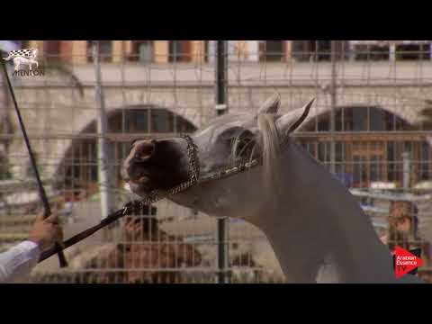 N.71 PIWNICIA NUNKI - Menton 2019