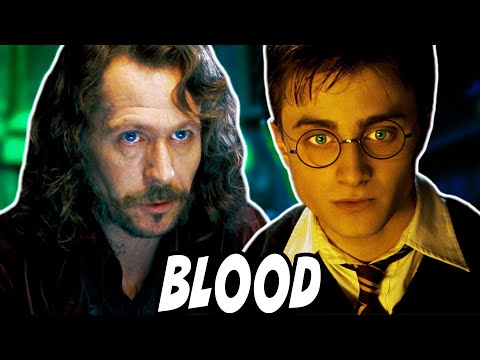 Harry and Sirius Black Are Actually Blood Related - Harry Potter Theory