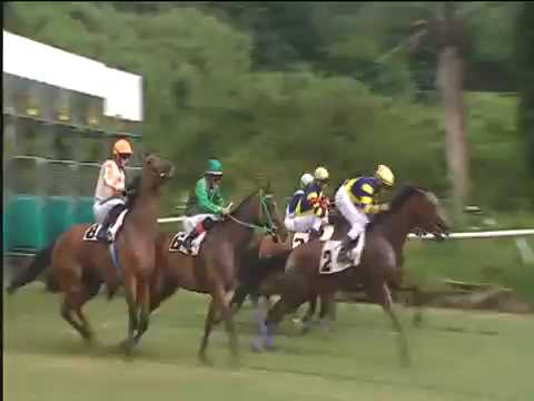 Galoppo 06/07/2018 - 1ª corsa