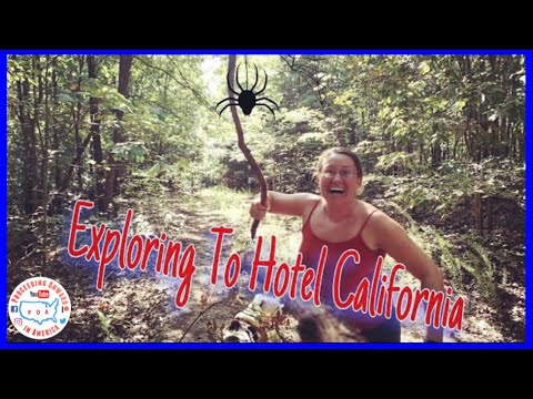 Hotel California Hike Land Between the Lakes ~ LBL ~ Full Time RV living ~ POA vlog