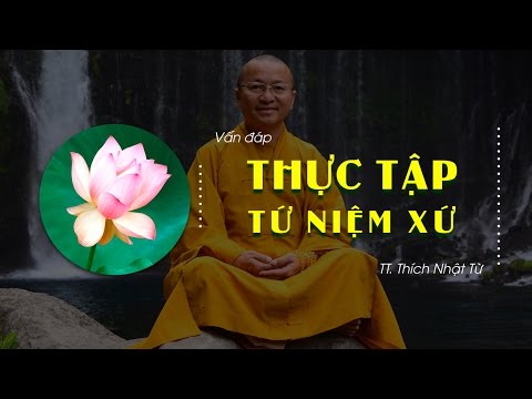 Vấn đáp: Thực tập Tứ Niệm Xứ (29/07/2010) Thích Nhật Từ