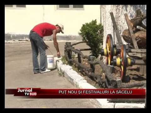 PUT NOU SI FESTIVALURI LA SACELU