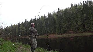 Рыбалка в ленинградской области лужский район
