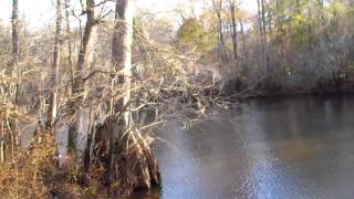 preview picture of video 'Ogeechee River Property'