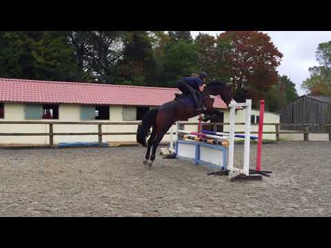 Furstenball Furst Lady jump