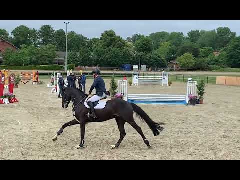 Duplexx @ Elmshorn - Qualifikation BuCha 2022 - Springpferde M