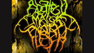 Abated Mass of Flesh - Peace In The Galaxy (Mortificaiton Cover)