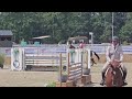Jument SF amateur élite et +