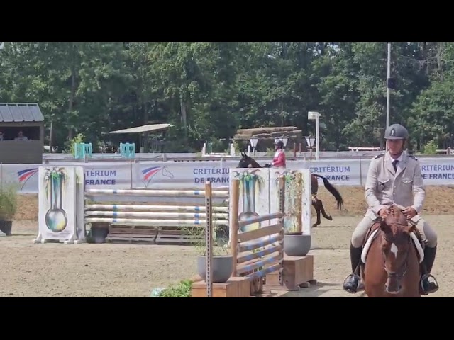 Jument SF amateur &eacute;lite et +